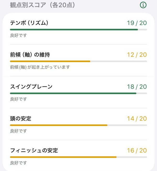 観点別スコア(各20点)。テンポ(リズム)19、前傾(軸)の維持12で前傾が起き上がっています、スイングプレーン18、頭の安定14、フィニッシュの安定16